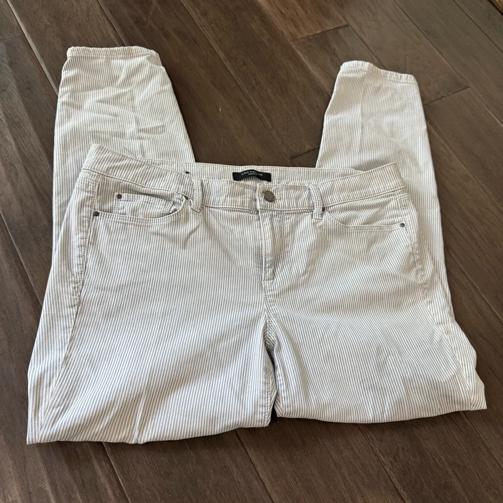 Ann Taylor Blue and White Striped Pants